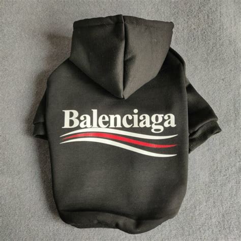 balenciaga pet|balenciaga dog clothes.